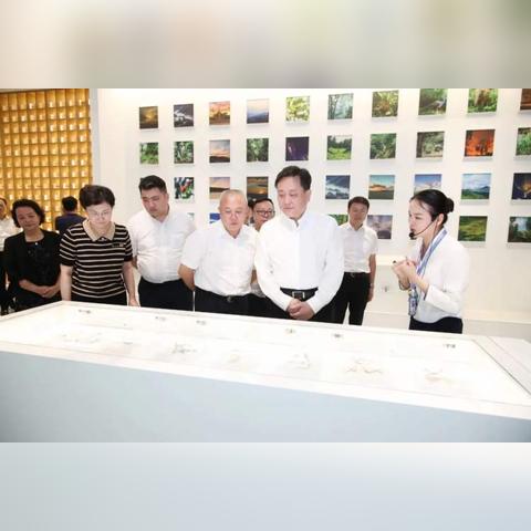 西双版纳最新干部公示公告