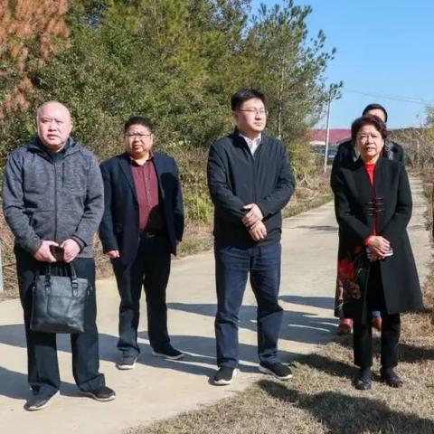 上饶汪霞最新职务动态报告解析