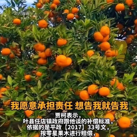 河南叶县干部最新工作动态概况