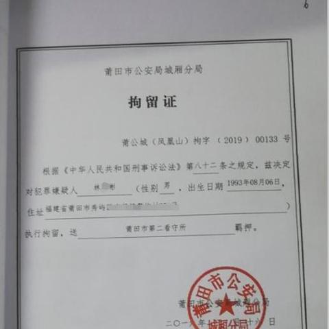 肇事逃逸最新立案标准解读与分析