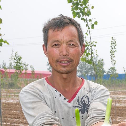 中牟晚熟大蒜价格走势分析