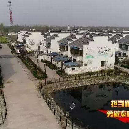 泰安旧村改造最新动态深度解析