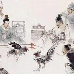 闲娱乐VIP会员全新上线，重塑您的休闲生活体验