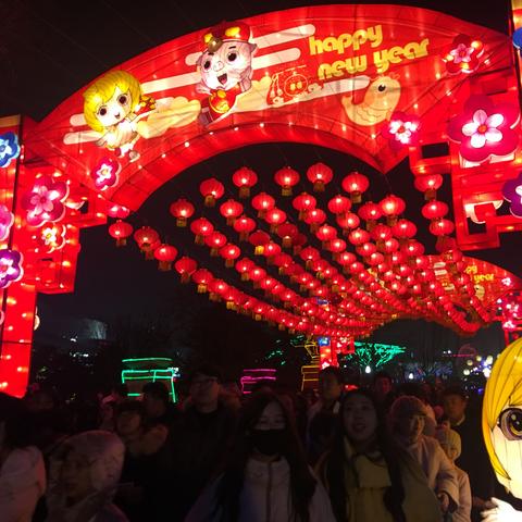 猪猪侠大电影最新版，奇幻冒险之旅探索