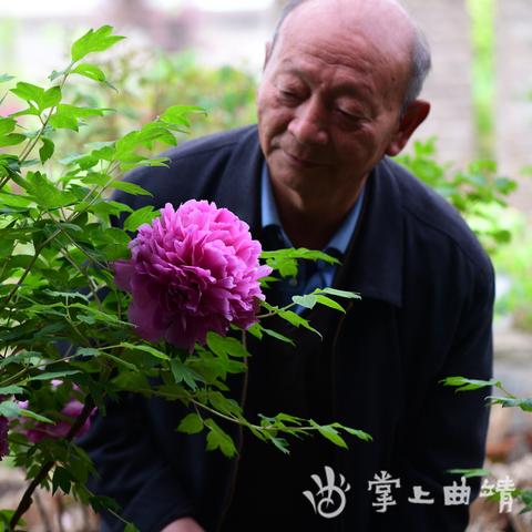 金塘园房价走势分析，最新房价报告